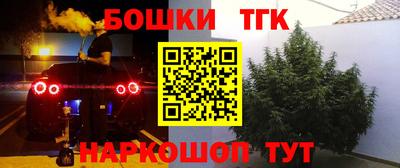 МДПВ Сланцы