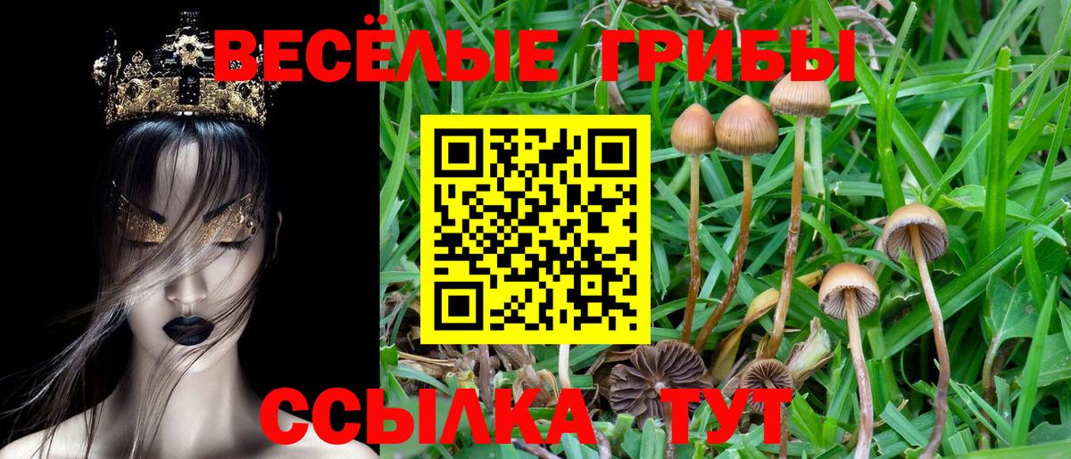 Сочи  Псилоцибиновые грибы мицелий  Вход с VPN 