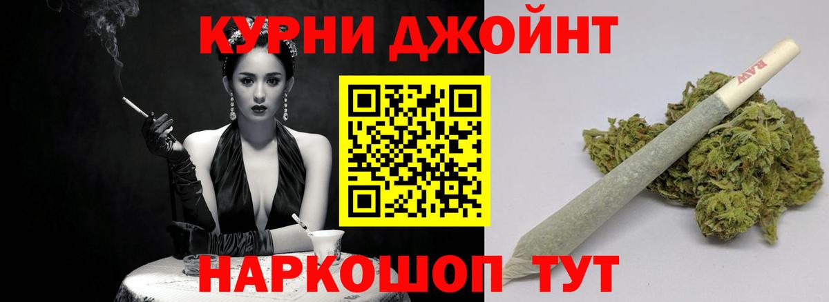 Конопля сатива Сочи